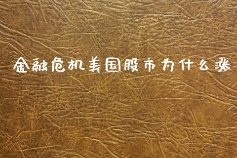 金融危机美国股市为什么涨_https://m.sdyuehang.cn_恒指直播_第1张