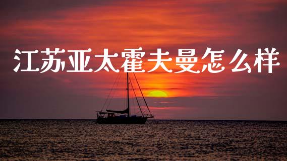 江苏亚太霍夫曼怎么样_https://m.sdyuehang.cn_德指直播室_第1张