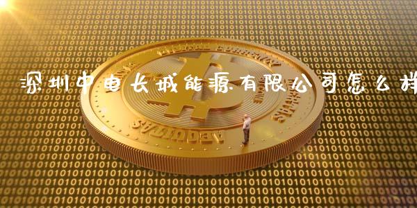 深圳中电长城能源有限公司怎么样_https://m.sdyuehang.cn_恒指直播_第1张