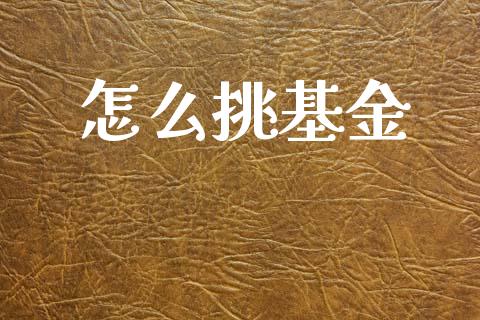 怎么挑基金_https://m.sdyuehang.cn_国际期货恒指直播间_第1张