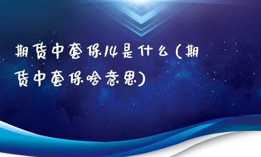 期货中套保14是什么(期货中套保啥意思)_https://m.sdyuehang.cn_德指直播室_第1张