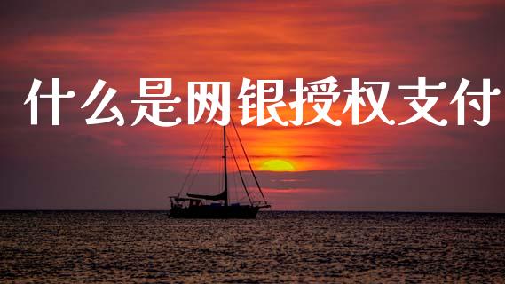 什么是网银授权支付_https://m.sdyuehang.cn_国际期货恒指直播间_第1张