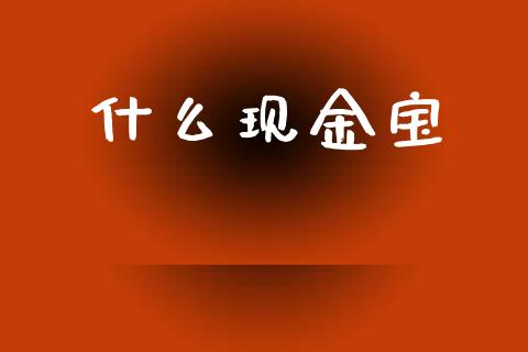 什么现金宝_https://m.sdyuehang.cn_德指直播室_第1张