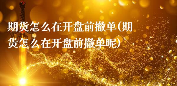 期货怎么在开盘前撤单(期货怎么在开盘前撤单呢)_https://m.sdyuehang.cn_纳指直播喊单_第1张