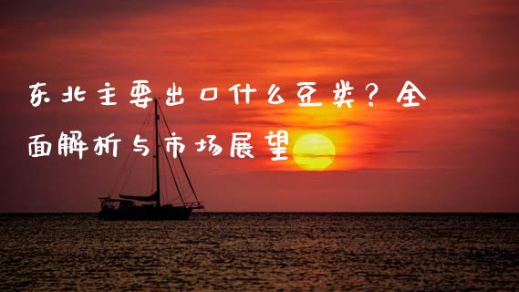 东北主要出口什么豆类？全面解析与市场展望_https://m.sdyuehang.cn_国际期货恒指直播间_第1张