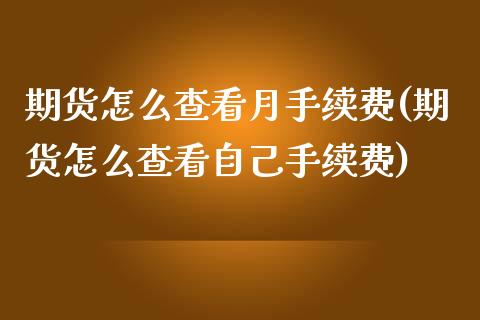 期货怎么查看月手续费(期货怎么查看自己手续费)_https://m.sdyuehang.cn_恒指直播_第1张