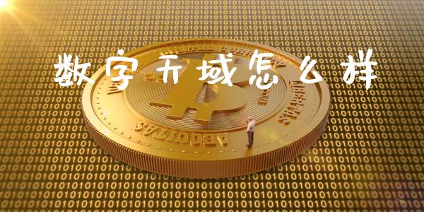 数字天域怎么样_https://m.sdyuehang.cn_国际期货恒指直播间_第1张