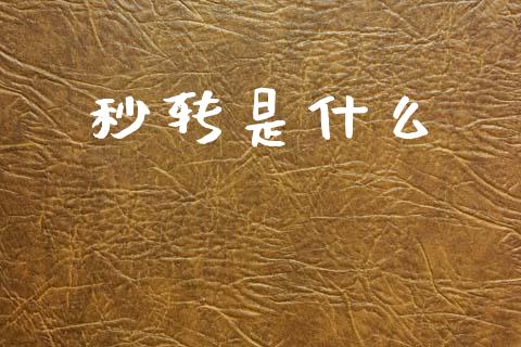 秒转是什么_https://m.sdyuehang.cn_纳指直播喊单_第1张