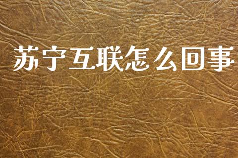 苏宁互联怎么回事_https://m.sdyuehang.cn_恒指直播_第1张