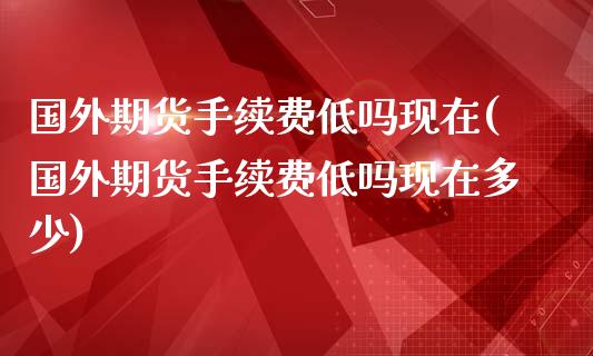 国外期货手续费低吗现在(国外期货手续费低吗现在多少)_https://m.sdyuehang.cn_纳指直播喊单_第1张