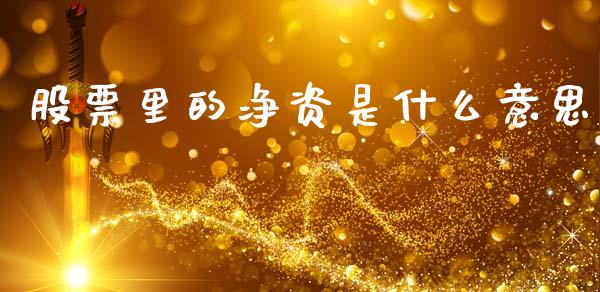 股票里的净资是什么意思_https://m.sdyuehang.cn_德指直播室_第1张
