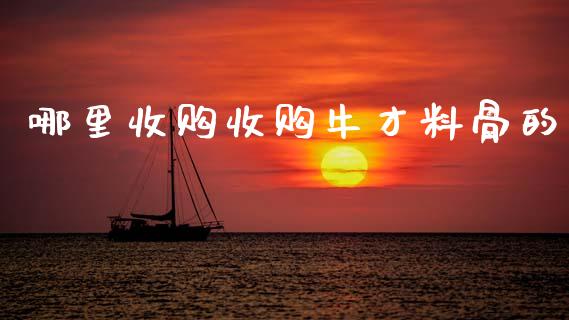 哪里收购收购牛才料骨的_https://m.sdyuehang.cn_国际期货恒指直播间_第1张