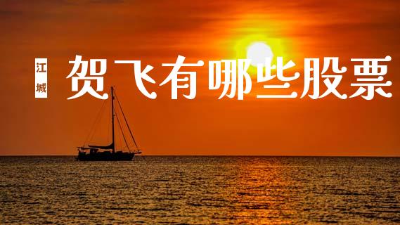 谌贺飞有哪些股票_https://m.sdyuehang.cn_恒指直播_第1张