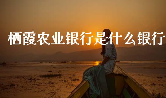 栖霞农业银行是什么银行_https://m.sdyuehang.cn_恒指直播_第1张