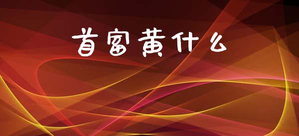 首富黄什么_https://m.sdyuehang.cn_德指直播室_第1张