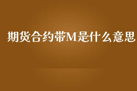 期货合约带M是什么意思_https://m.sdyuehang.cn_德指直播室_第1张
