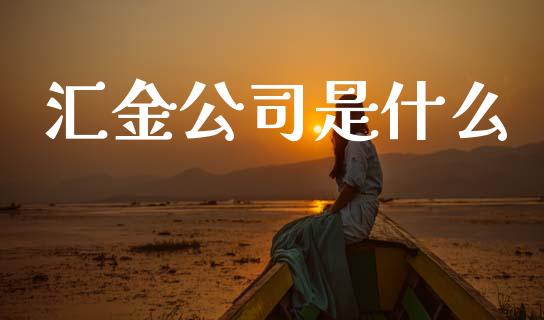 汇金公司是什么_https://m.sdyuehang.cn_国际期货恒指直播间_第1张