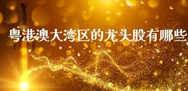 粤港澳大湾区的龙头股有哪些_https://m.sdyuehang.cn_恒指直播_第1张