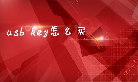 usb key怎么买_https://m.sdyuehang.cn_恒指直播_第1张