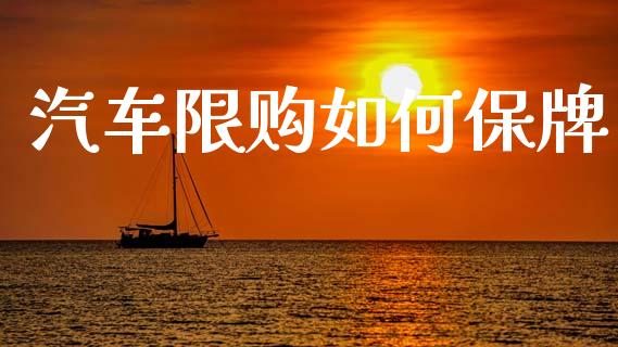 汽车限购如何保牌_https://m.sdyuehang.cn_恒指直播_第1张