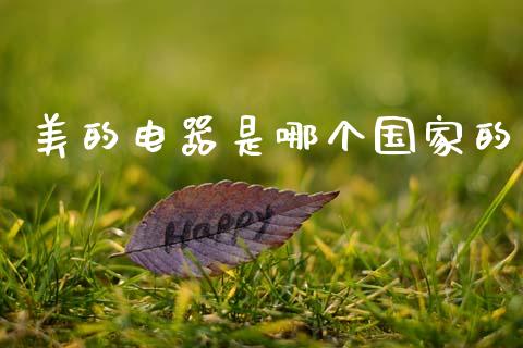 美的电器是哪个国家的_https://m.sdyuehang.cn_恒指直播_第1张