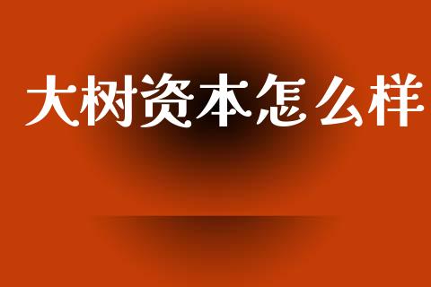大树资本怎么样_https://m.sdyuehang.cn_国际期货恒指直播间_第1张