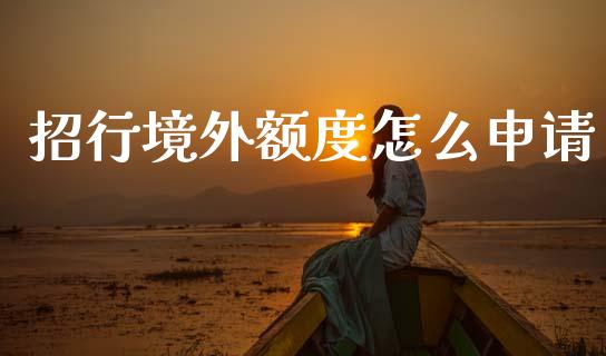 招行境外额度怎么申请_https://m.sdyuehang.cn_恒指直播_第1张
