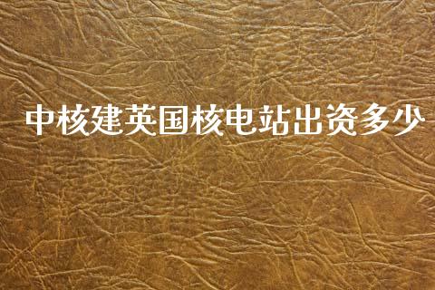 中核建英国核电站出资多少_https://m.sdyuehang.cn_纳指直播喊单_第1张