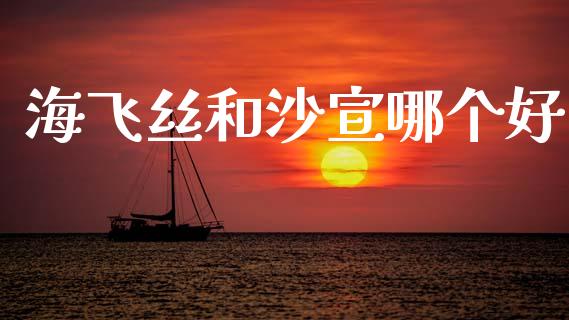 海飞丝和沙宣哪个好_https://m.sdyuehang.cn_德指直播室_第1张