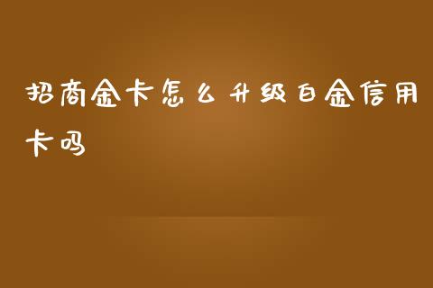 招商金卡怎么升级白金信用卡吗_https://m.sdyuehang.cn_纳指直播喊单_第1张
