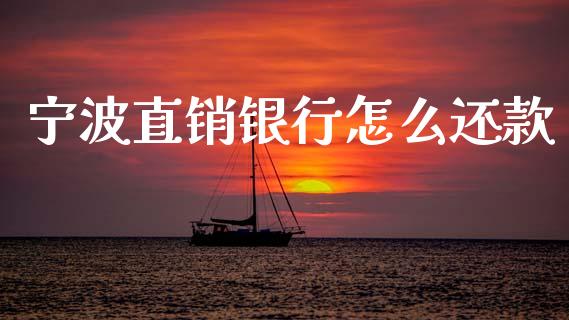 宁波直销银行怎么还款_https://m.sdyuehang.cn_德指直播室_第1张