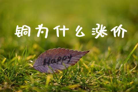 铜为什么涨价_https://m.sdyuehang.cn_国际期货恒指直播间_第1张