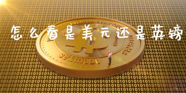 怎么看是美元还是英镑_https://m.sdyuehang.cn_纳指直播喊单_第1张