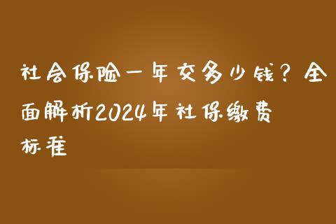 社会保险一年交多少钱？全面解析2024年社保缴费标准_https://m.sdyuehang.cn_德指直播室_第1张