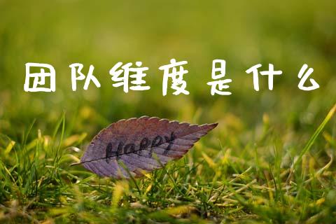 团队维度是什么_https://m.sdyuehang.cn_德指直播室_第1张