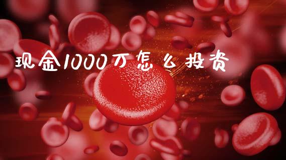 现金1000万怎么投资_https://m.sdyuehang.cn_纳指直播喊单_第1张