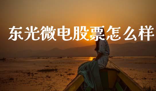 东光微电股票怎么样_https://m.sdyuehang.cn_恒指直播_第1张