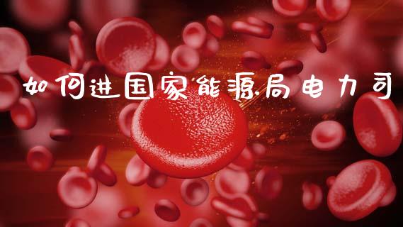 如何进国家能源局电力司_https://m.sdyuehang.cn_德指直播室_第1张
