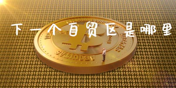 下一个自贸区是哪里_https://m.sdyuehang.cn_恒指直播_第1张