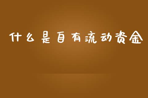 什么是自有流动资金_https://m.sdyuehang.cn_恒指直播_第1张