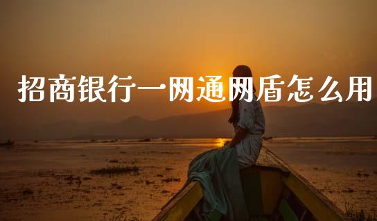 招商银行一网通网盾怎么用_https://m.sdyuehang.cn_恒指直播_第1张