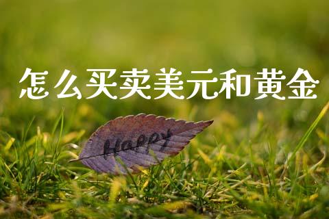 怎么买卖美元和黄金_https://m.sdyuehang.cn_恒指直播_第1张