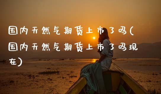 国内天然气期货上市了吗(国内天然气期货上市了吗现在)_https://m.sdyuehang.cn_德指直播室_第1张