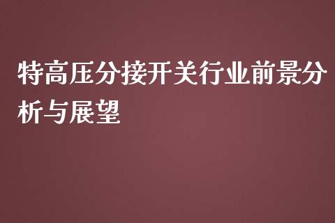 特高压分接开关行业前景分析与展望_https://m.sdyuehang.cn_恒指直播_第1张