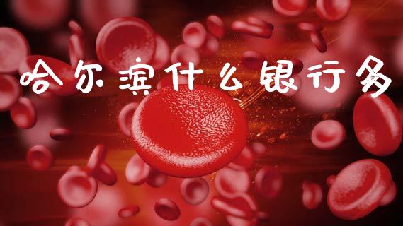 哈尔滨什么银行多_https://m.sdyuehang.cn_纳指直播喊单_第1张