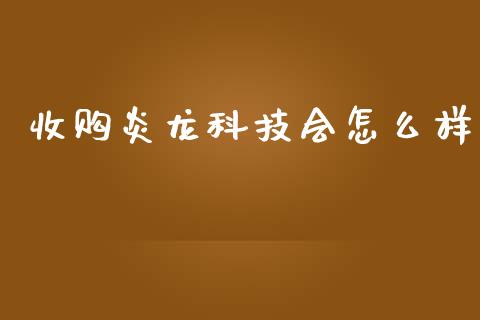收购炎龙科技会怎么样_https://m.sdyuehang.cn_纳指直播喊单_第1张