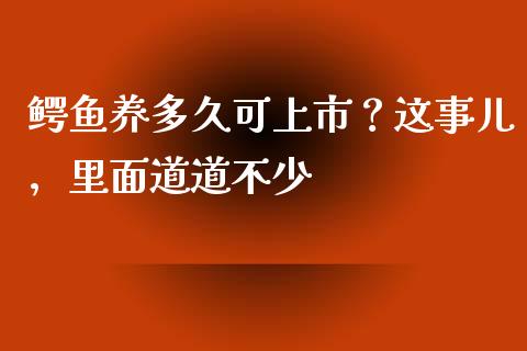 鳄鱼养多久可上市？这事儿，里面道道不少_https://m.sdyuehang.cn_国际期货恒指直播间_第1张