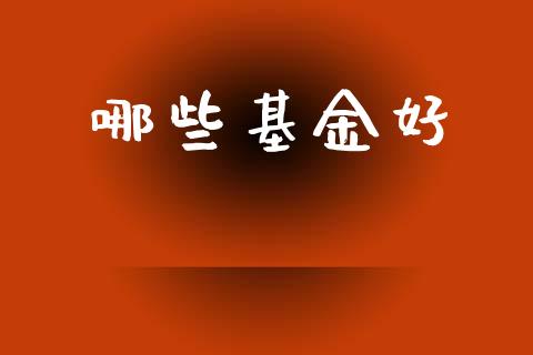 哪些基金好_https://m.sdyuehang.cn_纳指直播喊单_第1张
