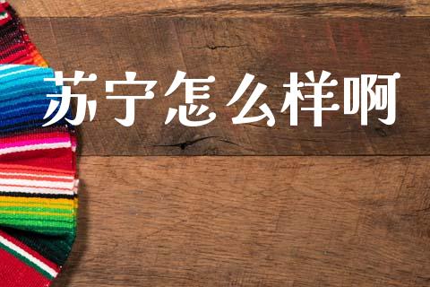 苏宁怎么样啊_https://m.sdyuehang.cn_德指直播室_第1张