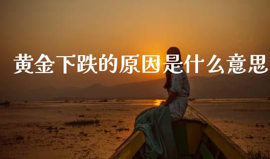 黄金下跌的原因是什么意思_https://m.sdyuehang.cn_国际期货恒指直播间_第1张